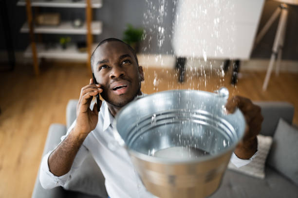 Best Water damage cleanup near me  in Fall River, MA