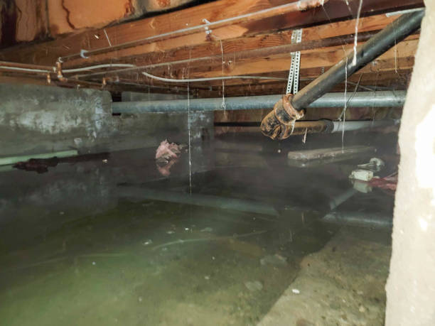 Best Emergency water damage restoration  in Fall River, MA