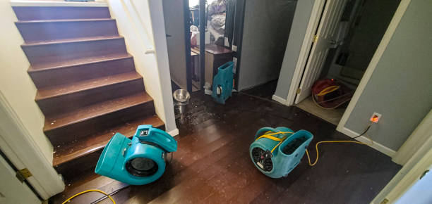 Best Basement water damage restoration  in Fall River, MA