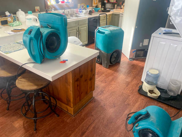 Best Water damage contractors near me  in Fall River, MA