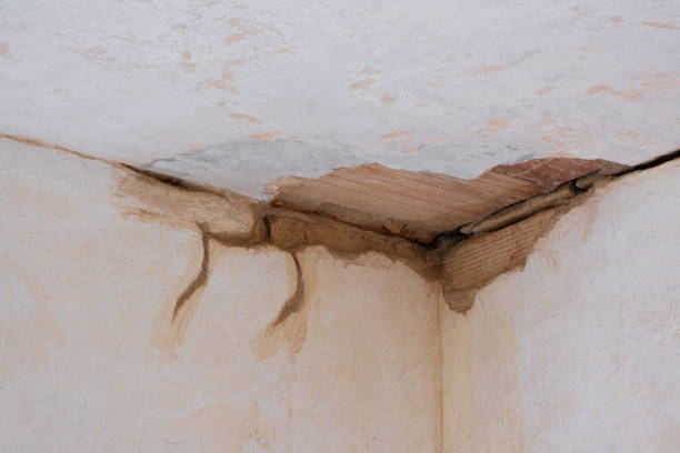 Best Flood restoration services  in Fall River, MA