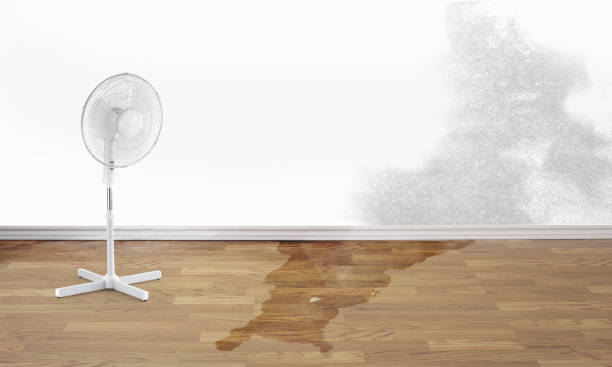 Best Residential water damage restoration  in Fall River, MA