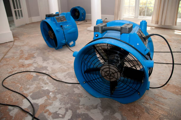 Best 24/7 water damage repair  in Fall River, MA